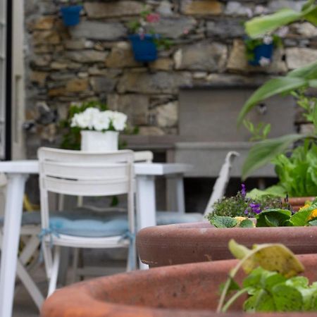 Casa Gatto Miao Daire Rapallo Dış mekan fotoğraf